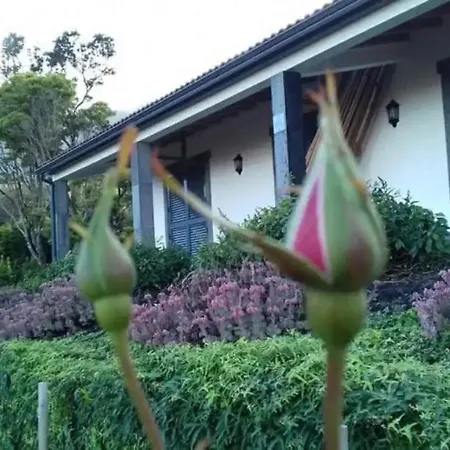 Ocean Melody * Canto da Areia